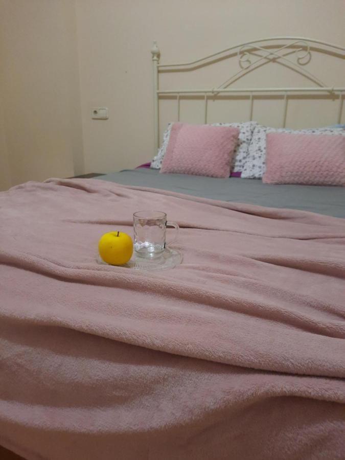Ferienwohnung Bem Acogedora Y Muy Centrica Zamora Exterior foto